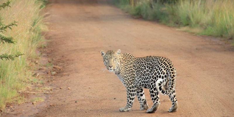AI如何重塑游戏体验：从智能NPC到程序化内容生成的深度解析 | 游戏论坛与评测视角