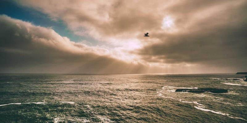 AI如何重塑游戏开发：从程序化内容到智能NPC对话的前沿革命