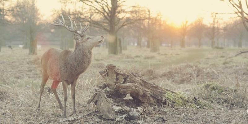 Gaming News 52:玩家社区如何重塑现代游戏生态