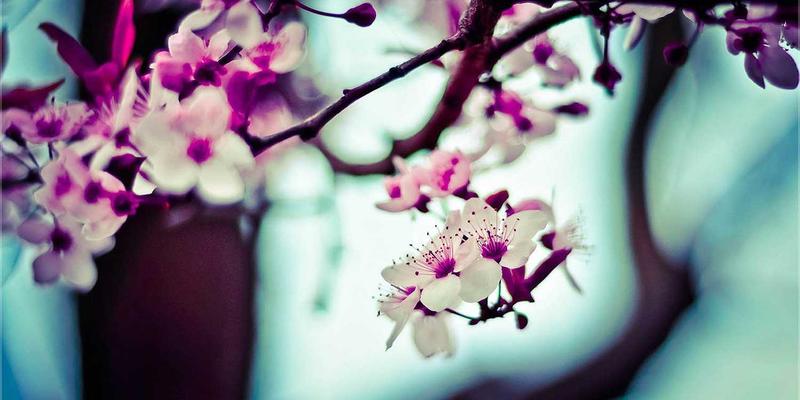 KAM99与玩家社区：怀旧游戏复兴背后的商业逻辑与情感纽带