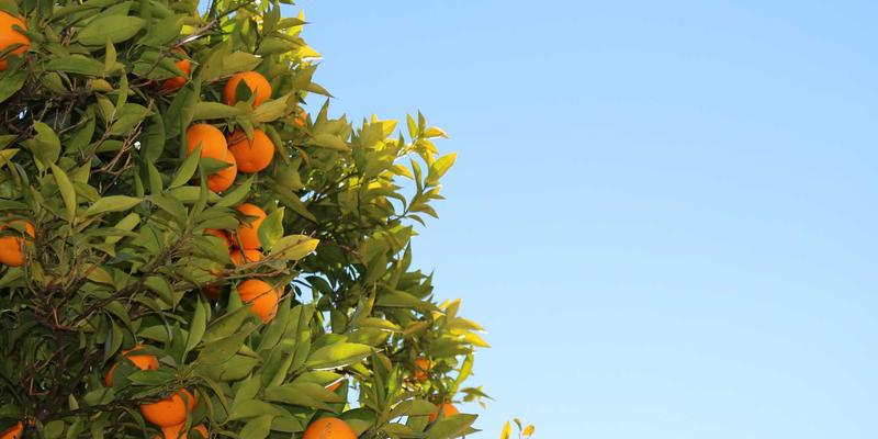 KAM99与玩家社区：移动外设与赛事规范如何重塑手游电竞职业化路径