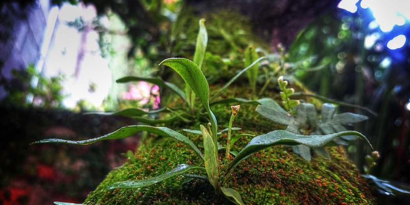 KAM99引爆玩家社区热议：深度评测揭示游戏现象背后的社群力量