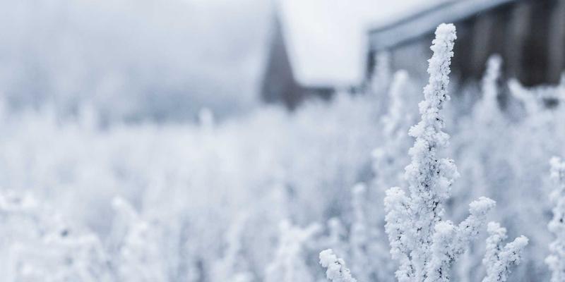 KAM99深度评测：是游戏新闻聚合的革命，还是又一款平庸之作？