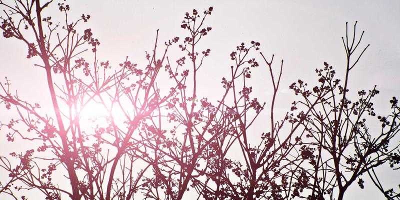 KAM99深度评测：这款游戏如何重新定义游戏评论标准？