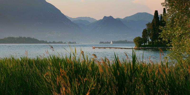 从《赛博朋克2077》到《巫师》：深度解析跨媒体游戏IP开发的影视化成功路径 | Gaming News & Video Games 分析