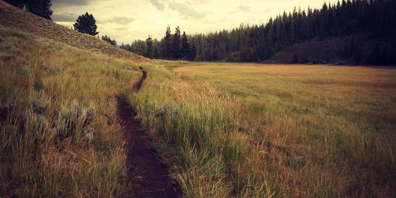 复古游戏硬件复兴：Analogue Pocket、迷你主机与FPGA技术如何重塑玩家社区