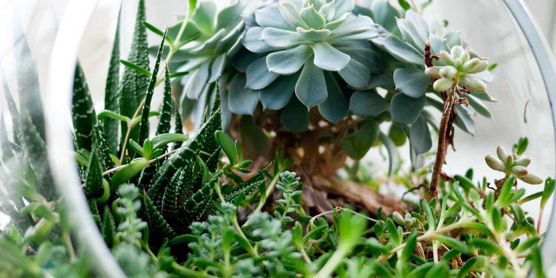 次世代主机性能瓶颈分析：SSD与光追技术如何重塑电竞与玩家社区体验