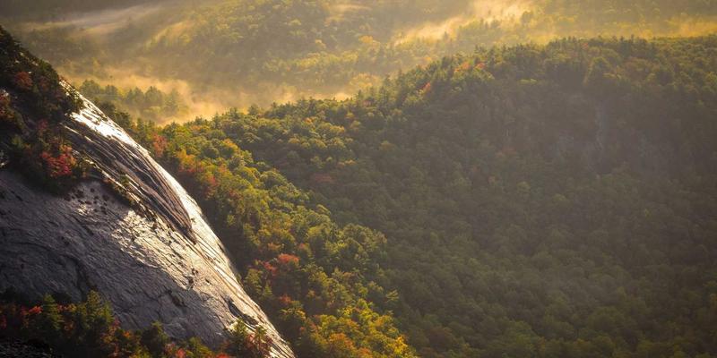 游戏剧本革命：非线性叙事与分支对话系统如何重塑当代RPG体验 | 深度游戏评测与社区洞察