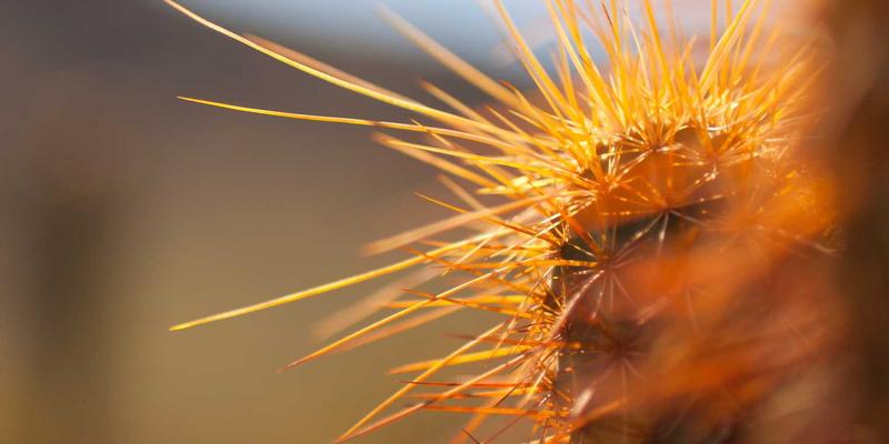 游戏本地化策略：文化适配与语言翻译如何通过KAM99影响全球玩家社区