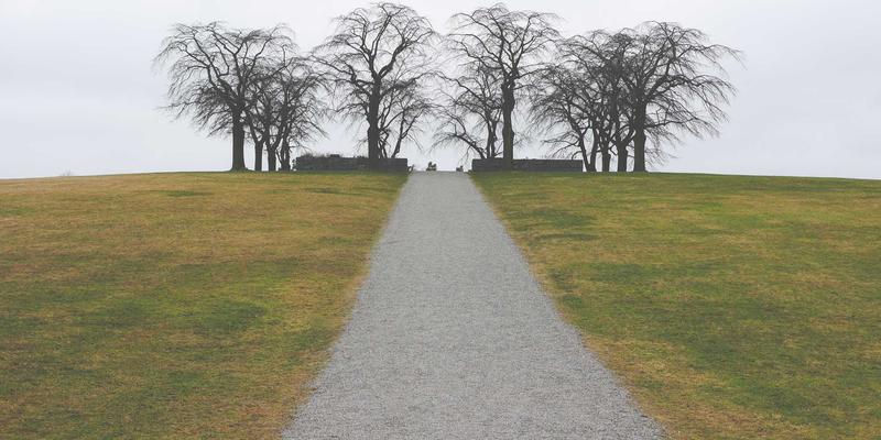 玩家社区、游戏新闻与评测:构建现代游戏文化的三大支柱