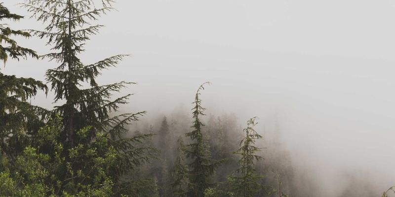 玩家社区、游戏论坛与电竞生态：游戏新闻的三大支柱