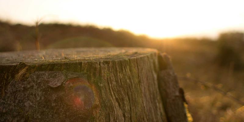 电竞俱乐部商业模式2.0：从游戏论坛、玩家社区到多元化收入生态