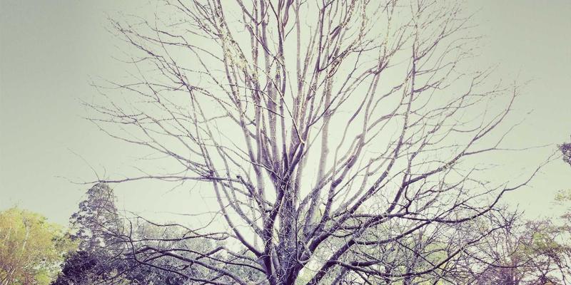 虚幻引擎5 vs Unity：游戏引擎大战如何重塑独立开发者的未来 | 从Game Reviews到Esports的全面影响